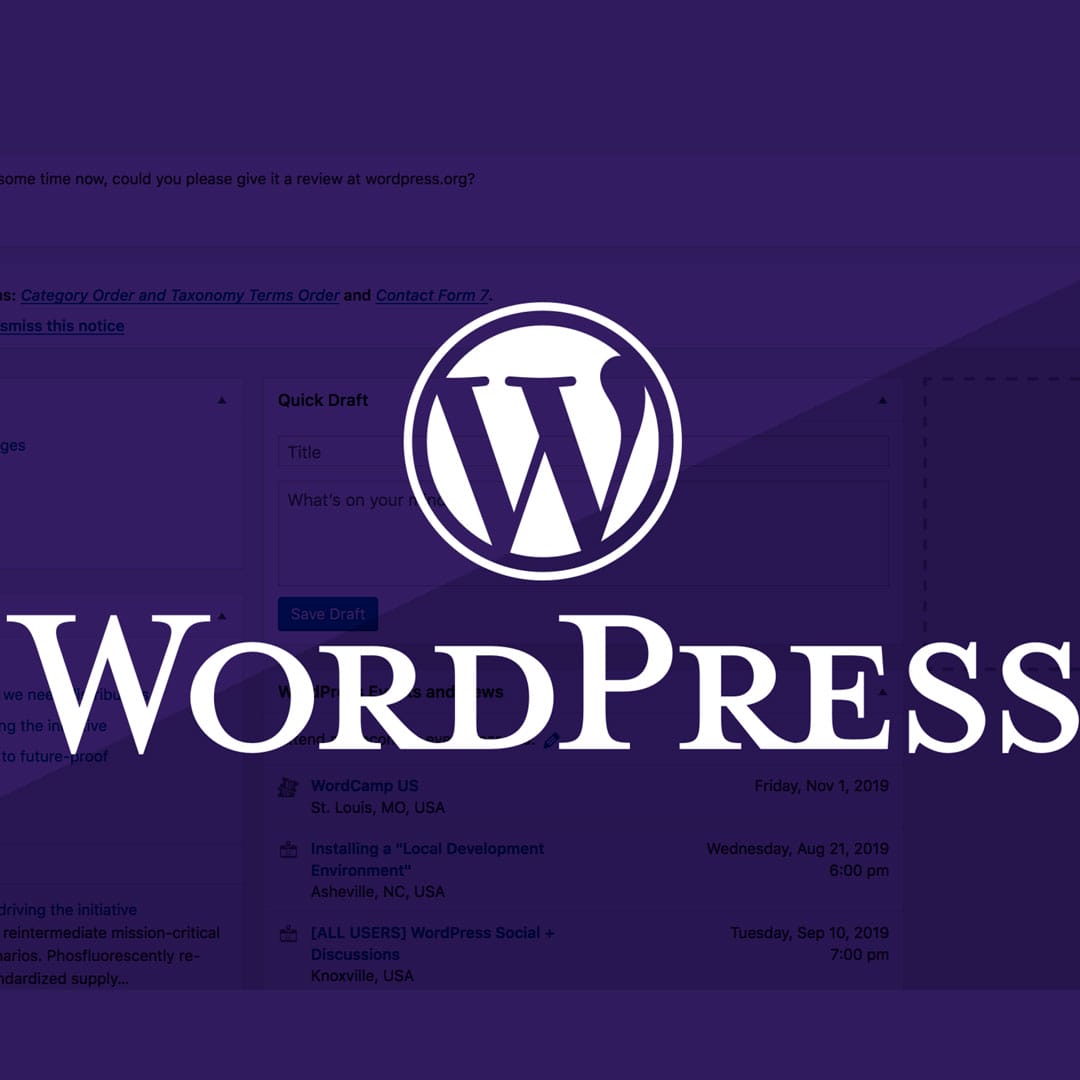 Ilustrasi Website Wordpress. Sumber: moonlightcreative.com