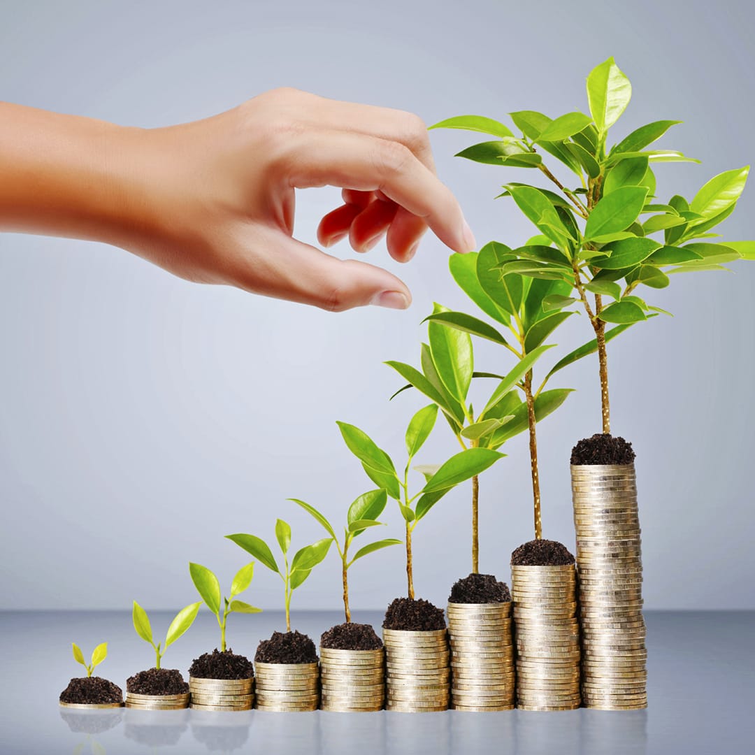 Beberapa Strategi Pengembangan Bisnis Para Solopreneur Daring