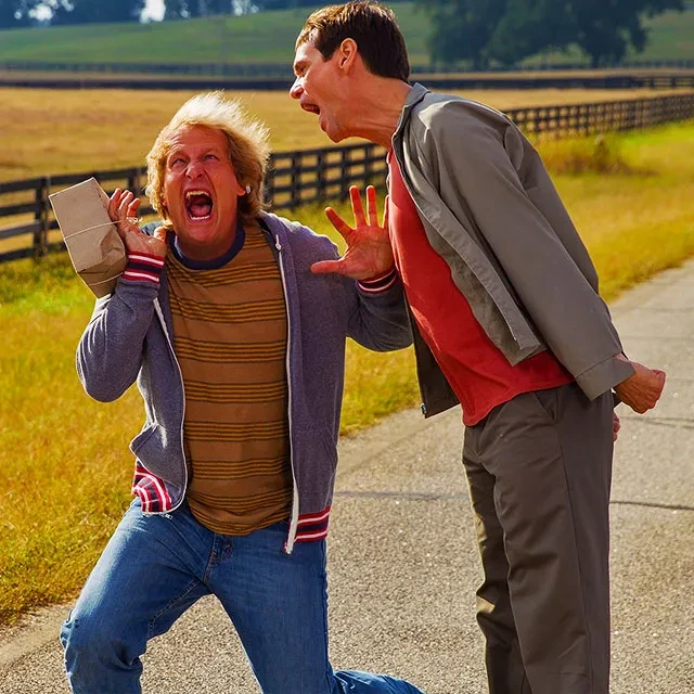 Ilustrasi Orang Bodoh