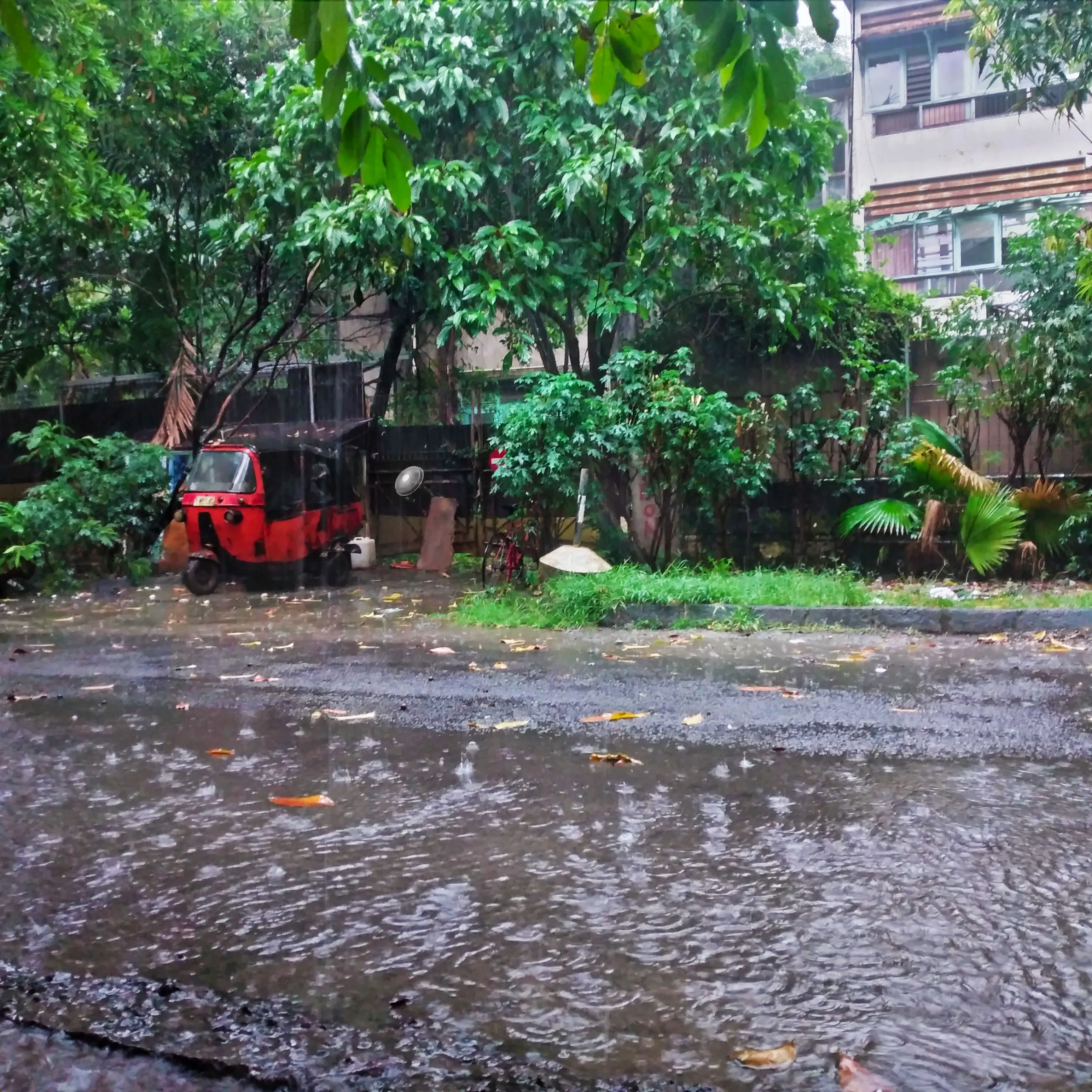 03 Hujan di sore hari