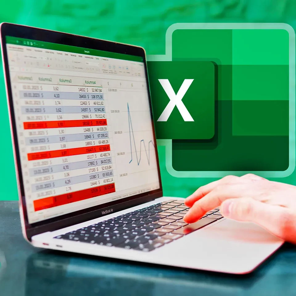 Ilustrasi Input Data dan Perapian Data di Microsoft Excel
