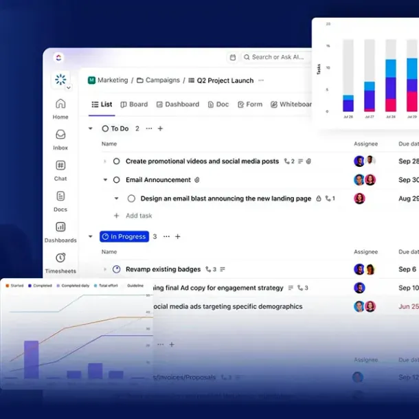 Training Clickup Bersama Mimosatree dan PT Rimba Ananta Vikasa