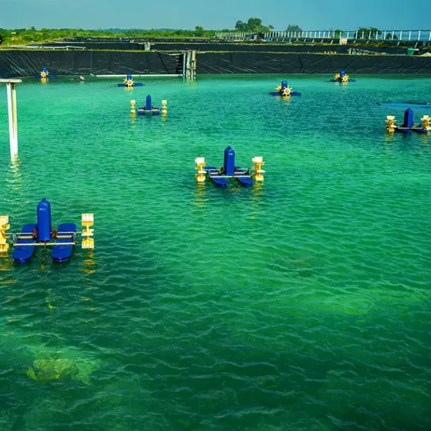Kolam ikan dengan beberapa kincir aerator berputar.