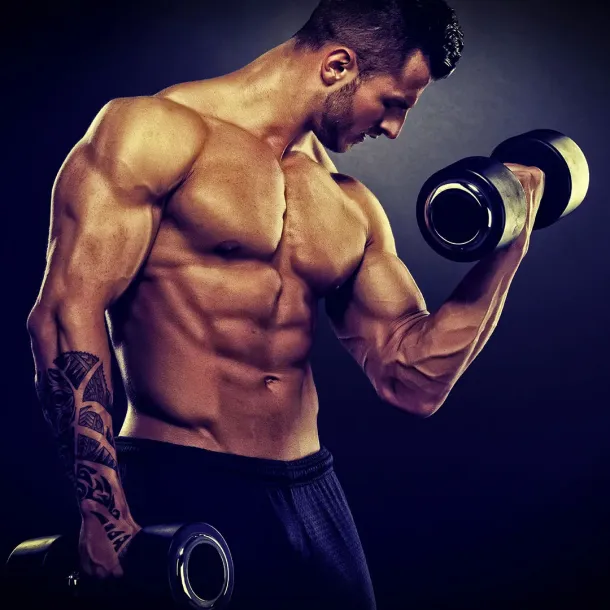 Ilustrasi Body Builder Pria