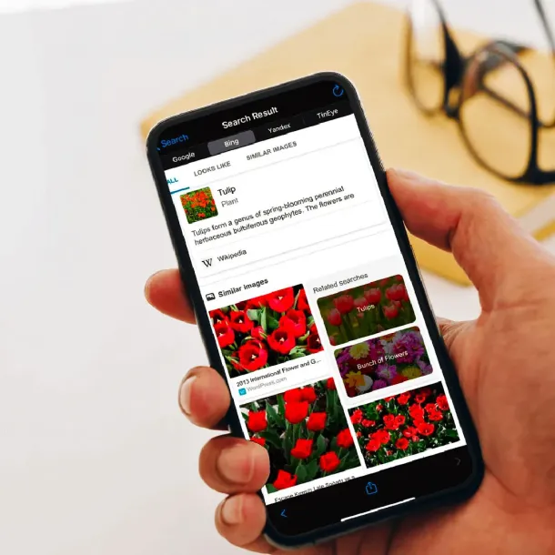 Ilustrasi Mencari Gambar Yang Serupa