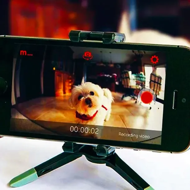 Ilustrasi CCTV Rumah dari HP