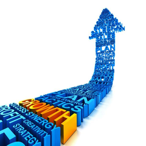 Beberapa Strategi Pengembangan Bisnis Para Solopreneur Daring