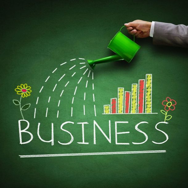 Beberapa Strategi Pengembangan Bisnis Para Solopreneur Daring