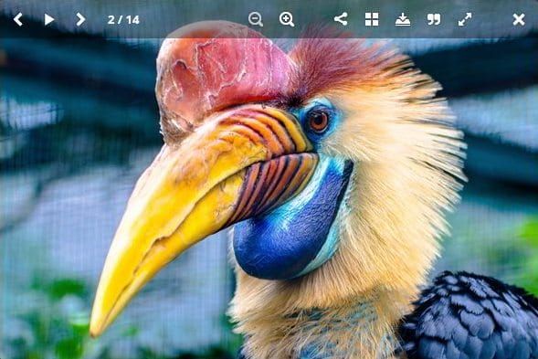 Ilustrasi Plugin Gallery