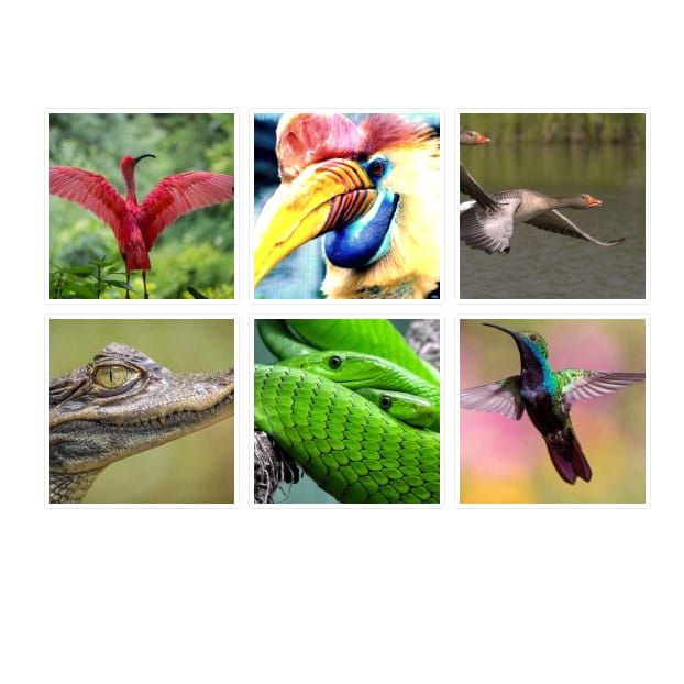 Ilustrasi Plugin Gallery