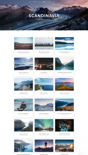 Tata Letak Halaman Yootheme Fjord