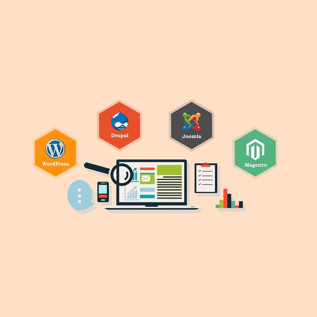 Illustration of Website Management Services and Data Entry